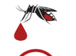 Dengue alert