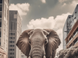 Street Scene Elephant's Moment of Freedom