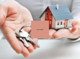 Real estate investment