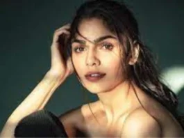 Sharmin Segal