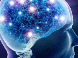 Brain light