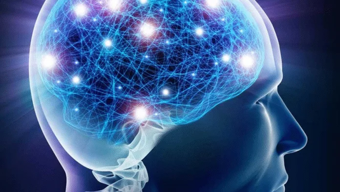 Brain light