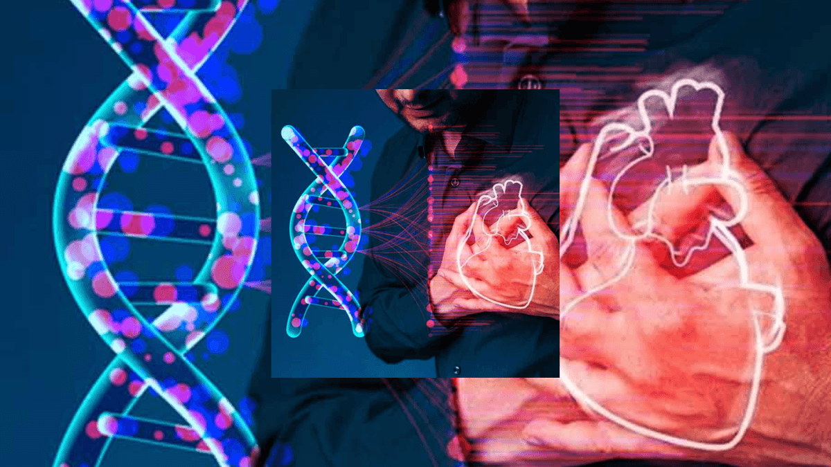 Untitled design Genes reduce heart attack