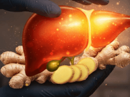 Can Ginger Really Reduce Fatty Liver and Cirrhosis? Here’s the Truth Fatty liver