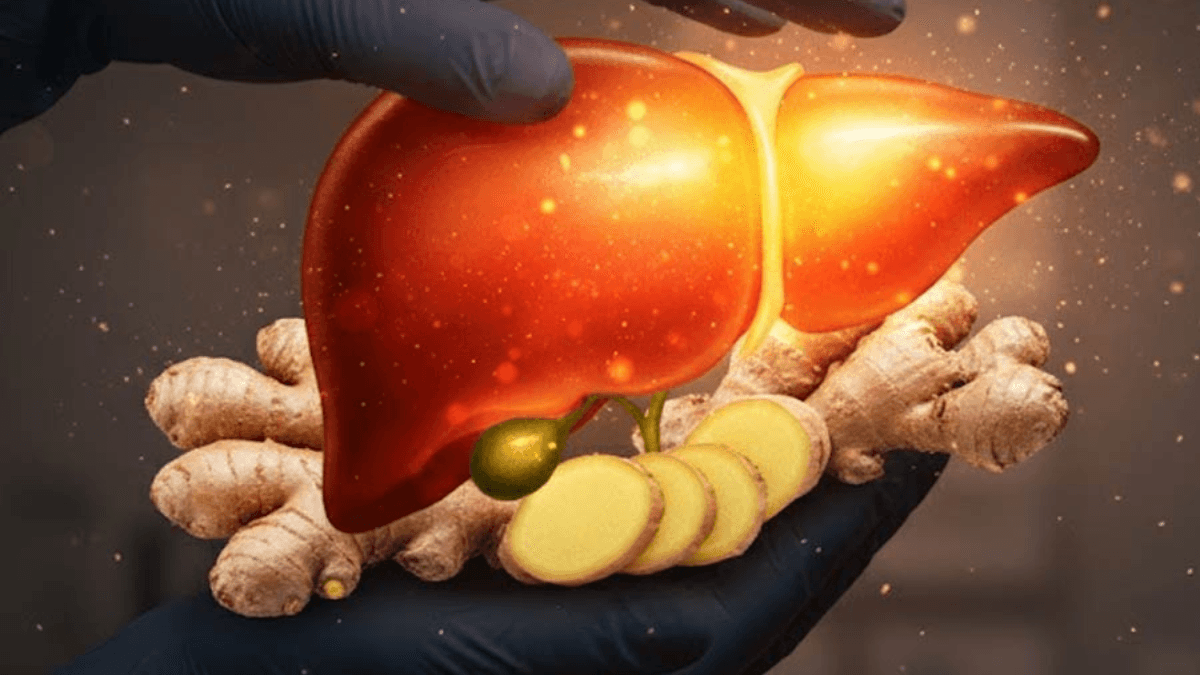 Fatty liver Fatty liver