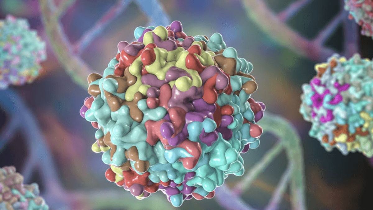 AAV gene therapy AAV gene therapy