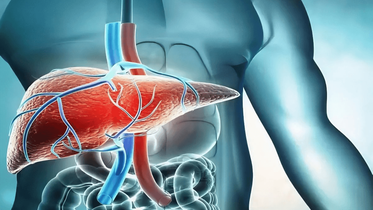 Does your liver play a vital role?