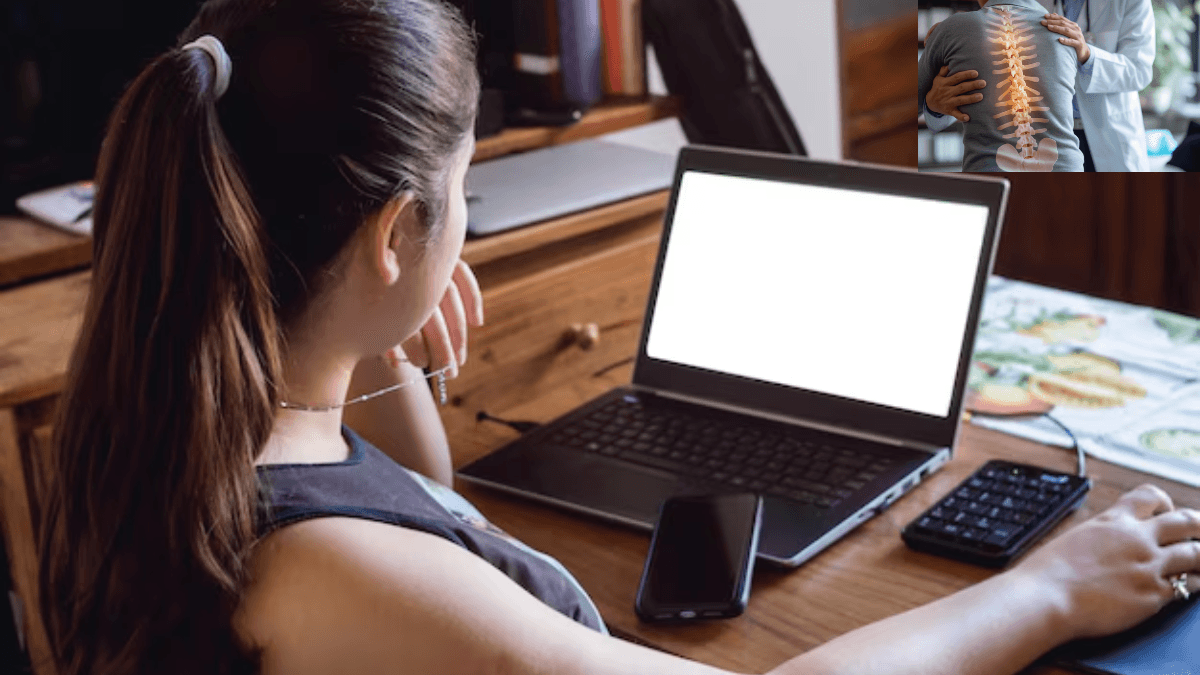 Laptop spine Laptop spine