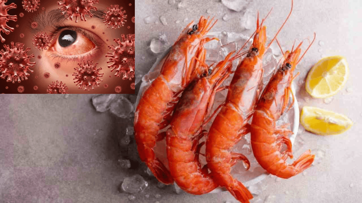 Virus spreading from shrimp Virus spreading from shrimp