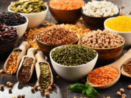 What are pulses in food and nutrition?