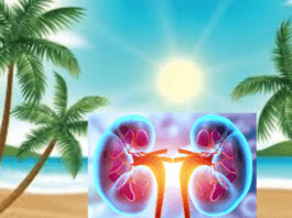 kidney care in the summer