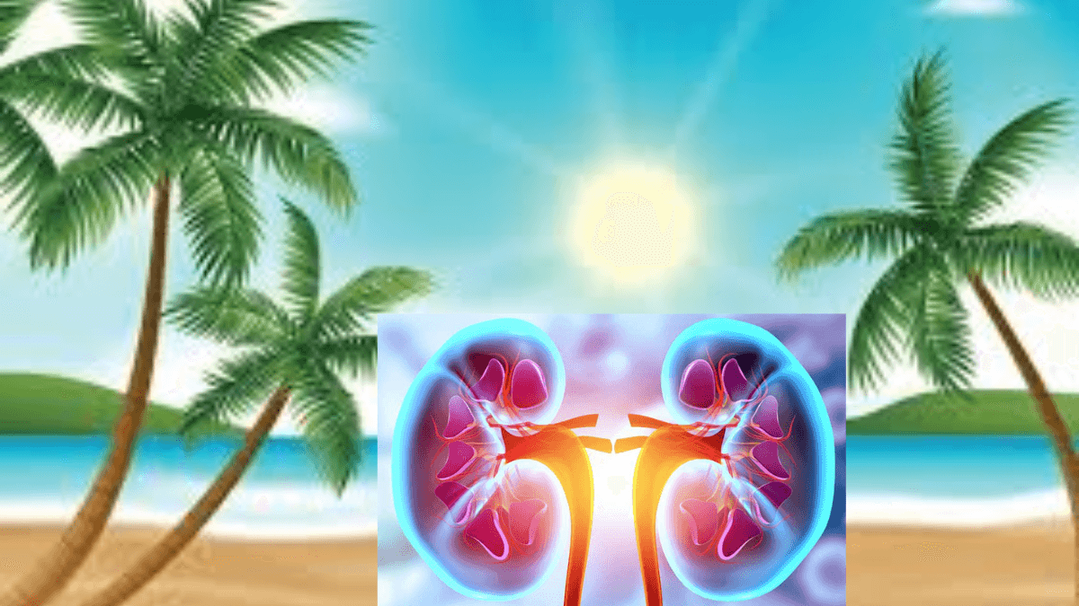 kidney care in the summer